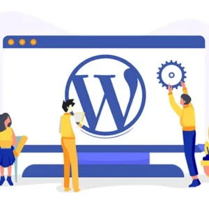 Wordpress Website package