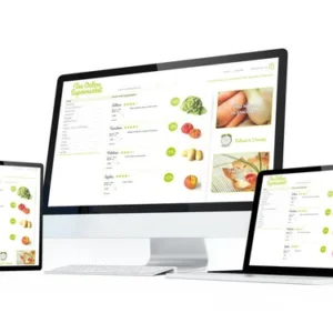 Customize Website Package